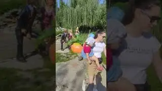Сказка