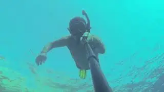 Dreams Vacation Шарм эль Шейх. Риф отеля.