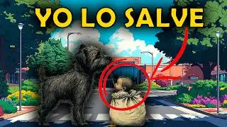 🐕 Perro Corre Desesperado al Hospital: La Razón Hizo Llorar a la Enfermera 😢💔