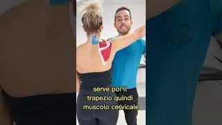 Perchè la spalla e la famosa CUFFIA dei ROTATORI sono così soggette a dolori ?
