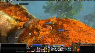 Quick Boomkin tips for Cataclysm #2 - Macros/Keybinds