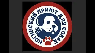 Ногинский приют для собак. 2.04.22