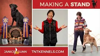 Making a Stand - Teaser Trailer