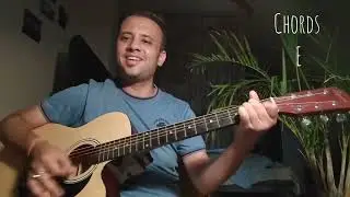 Easy Guitar 🎸 🎶 Lesson | Hosh walo ko khabar kya #easyguitar #easyguitartutorial #guitarsolo