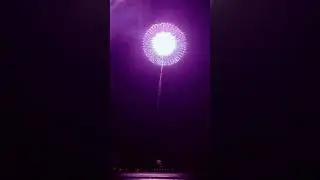 Sky shot crackers amazing fireworks