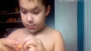 Туторияллепим фредбера