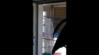 Зеленушка.