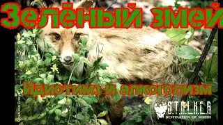 Зелёный змей. Идиотизм и алкоголизм.