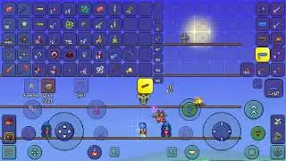 Terraria nonsense