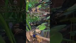 #shorts #grounded  #groundedgame #game #videogame #scary #spider #arachniphobia #tutorial #guide