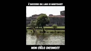 Avvistato un mostro sul lago di Mantova il 1° aprile 2019!!! 😱 (Möstar dal Lach da Mèss)