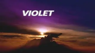 VIOLET! WHAT DO YOU MEAN?