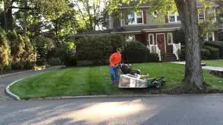 Mowing with the Bobcat 36