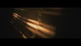 Daze - GH5 Anamorphic