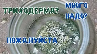 Выращиваю Триходерму Харцианум на жидкой питательной среде. Самый лёгкий способ #триходерма #огород