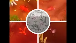 Война букашек - Финальный босс(+все мини - боссы)[без получения урона по домику]