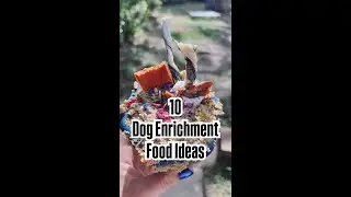 10 Dog Enrichment Food Ideas #dogenrichment #dogmomlife #canineenrichment