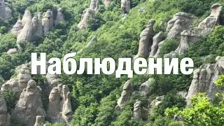10. Я есть То. Наблюдение. Нисаргадатта Махарадж