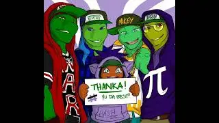 tmnt swag 2012