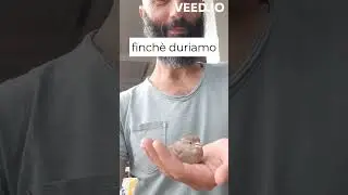 vieni qui adesso...