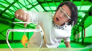 SUVDA HAM O'CHMAYDIGAN GUGURT! **EKSPERIMENT**