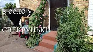 🌻🌺В селе у СВЕКРУНЬКИ !👍🙋‍♀️🥗