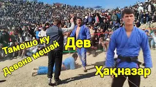 Тамошо кун Девона мешай Дев ва Хакназар Гуштин 2025 (Гуштини пешина)