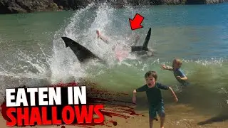 This Father Is EATEN ALIVE In Shallow Water By Shark In Front of His Family!