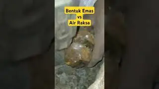 Bentuk emas di dulangan setelah di campur air raksa #alamindonesia #tambangindo