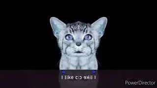 Meow Mix Tender Centers (2012-2013) In Low Voice