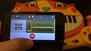 CRAZY FROG BUT I SAMPLED THE CAT PIANO AND PLAYED IT ON MY IPHONE