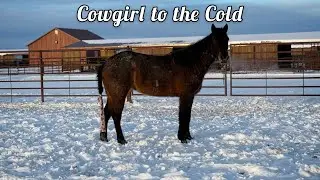Cowgirl to the Cold