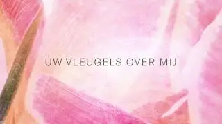 Kinga Bán // Uw vleugels over mij // Geboren