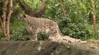 A day at Central Park Zoo