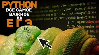 Программа Python (Питон). Ввод и вывод. Типы данных. Линейные алгоритмы
