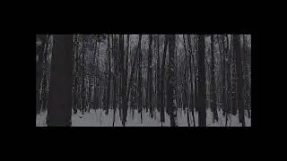 KOL - Just You ( Angelo Badalamenti cover)