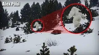 5 Real Yeti Appearances Caught on Video