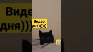 видео дня! ( у автора скоро др