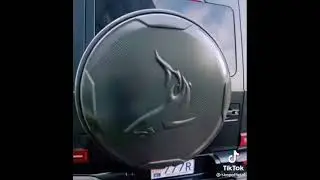чёрный мерин