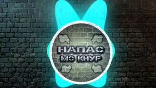 МС КНУР - НАПАС