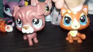 Мои новинки