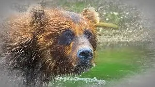 Russia 2017, Kamchatka, Kuril Lake