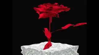 Derya PETEK - metrisin önünde