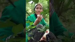 Айыл