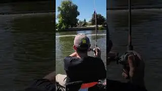 Joli poisson sur ce nouveau coin de pêche, encore au b-switcher 2.0 😂🤣 #fishing #pêche