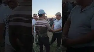 BOZOR QAYNADI