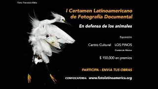 CONCURSO FOTOGRÁFICO EN DEFENSA DE LOS ANIMALES