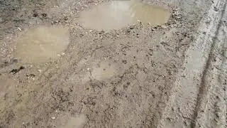 ЖАБЫ ЖАБЯТСЯ