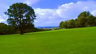 Relax green garden deep sleep music 2021#relaxmusic2021 #relaxsleepmusic #youtube #trending