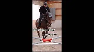 How many Points do you got?😊#horse